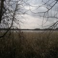20121226145346-bild_410