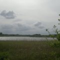 20140510160008-2014-05-10-1773