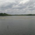 20140510161221-2014-05-10-1775
