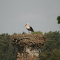 20140523091438-IMG_5392