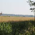 20140608093928-IMG_1757