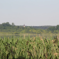 20140608094009-IMG_1759