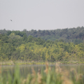 20140608094018-IMG_1761