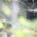 20140608094138-IMG_1775