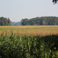 20140608094251-IMG_1781