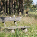 20140608094626-IMG_1786