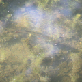 20140608095116-IMG_1804
