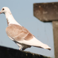 20140608095216-IMG_1808