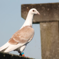 20140608095221-IMG_1809