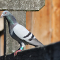 20140608095323-IMG_1823