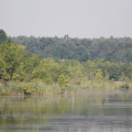 20140608095449-IMG_1826