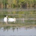 20140608095505-IMG_1829