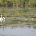 20140608095513-IMG_1831