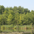 20140608095958-IMG_1862