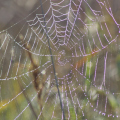 20141004100153-IMG_3617