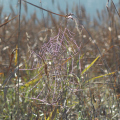 20141004100204-IMG_3619