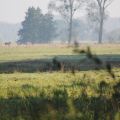 20141004101111-IMG_3635