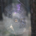 20141004102926-IMG_3660