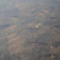 20141004105851-IMG_3675