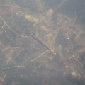 20141004110357-IMG_3724