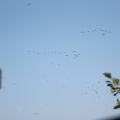 20141004110629-IMG_3726