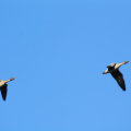20141004110648-IMG_3729