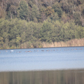 20141004110824-IMG_3746