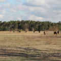 20150406102636-IMG_4984