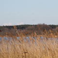 20150406103559-IMG_5007