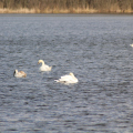 20150406105014-IMG_5050