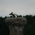 20160702120753-IMG_7444