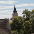 20180707140845-IMG_2988