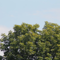 20180713141010-IMG_3252