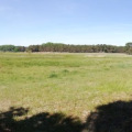 20190530103947-IMG_20190530_103946