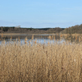 20200410120247-IMG_7044