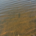 20200418173643-IMG_20200418_173642
