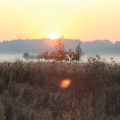 20200922082654-IMG_7725