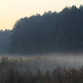 20200922082659-IMG_7726