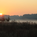 20200922082705-IMG_7727
