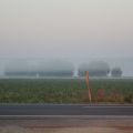20200922083105-IMG_7734