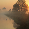 20200922083207-IMG_7738