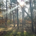 hdr