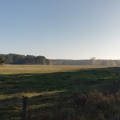 hdr