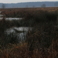 20201229134350-IMG_7864