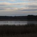 20201229152442-IMG_7886