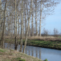 dsc00254