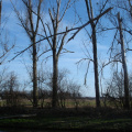 dsc00261
