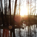 dsc00271