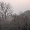 dsc00297