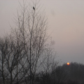 dsc00299